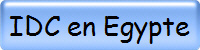 IDC en Egypte